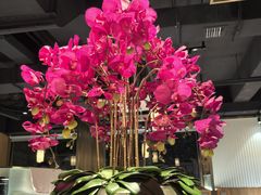 -纯味斑鱼府(上海总店)