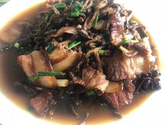 红烧肉烧豆角-谢氏农家