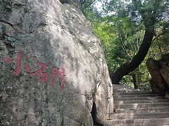 -王顺山国家森林公园
