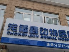 -宠福鑫康馨动物医院·骨科·眼科