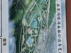 -永定河休闲森林公园