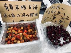 -帝京日语(春熙路旗舰校区)