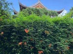 -龙华寺