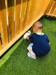 -萌宠亲子动物乐园(槐房万达店)