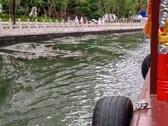 -皇家御河游(紫御湾码头)
