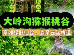-大岭沟猕猴桃谷风景区