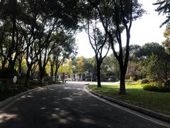 -昆山城市生态森林公园