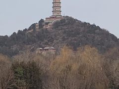 -北坞公园