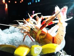 -VENU+海景酒廊