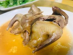 -鸽王世家(东华东路店)