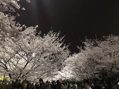 -同济大学四平路校区游泳馆