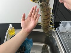 -班赞海鲜市场