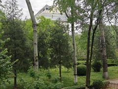 -黄村公园