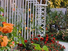 -人民公园(罗湖区)