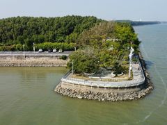 -大湾区中央湿地公园