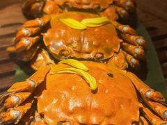 -成隆行·蟹王府(九江路店)