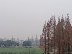 -蜀绣公园