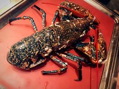 法国蓝龙-金轩中餐厅 Jin Xuan(浦东丽思卡尔顿酒店)