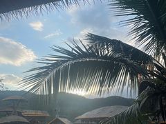 -海南槟榔谷黎苗文化旅游区