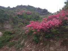 -木兰云雾山