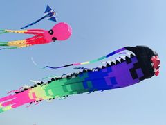 -潍坊滨海云门国际风筝放飞场