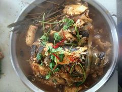 -庆岭迎宾园正宗活鱼馆