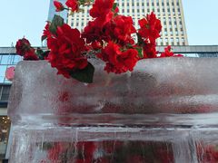 -万达广场(太原街店)