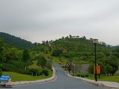 -东莞植物园