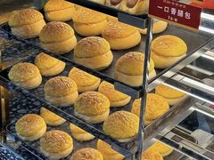-肥韬茶餐厅(南山mini店)