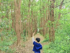 -同里国家湿地公园