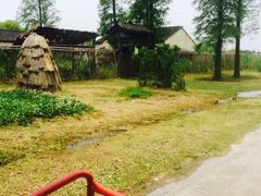 同里国家湿地公园-同里国家湿地公园