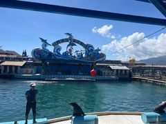 -海南分界洲岛旅游区