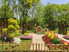 -上海共青森林公园