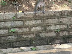 -黔灵山公园