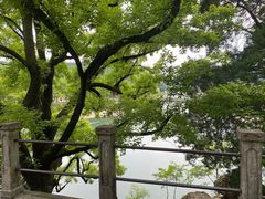 -溪口-滕头旅游景区