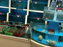 -闽鲜森霞浦海鲜城