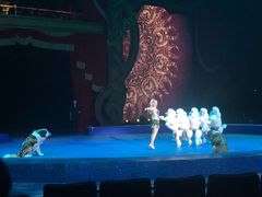 -珠海横琴长隆《卡卡虎奇遇记》