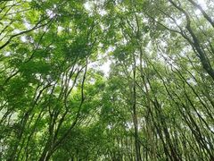 -同里国家湿地公园