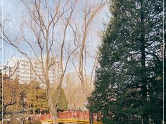 -元大都城垣遗址公园