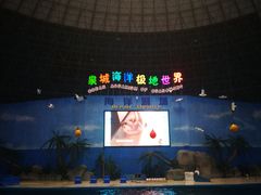 -泉城欧乐堡海洋极地世界