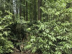 -桤木河湿地公园