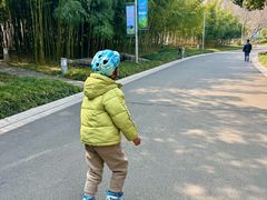 -青枫公园