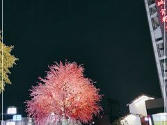 -凤城·食都