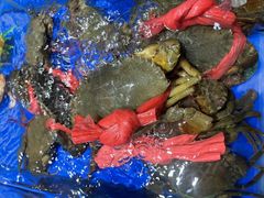 -潮道鱼仔店·潮汕味(长兴路店)