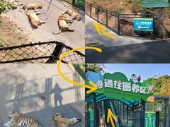 -大连森林动物园