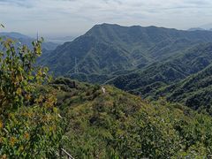 -大岭沟猕猴桃谷风景区
