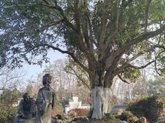 -采石矶景区