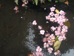 iphone_upload_pic-杭州黄龙洞