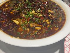 -新概念来凤鱼(璧山店)