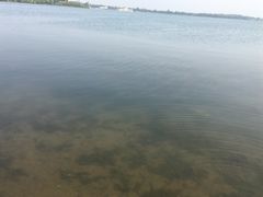 -丁香湖公园